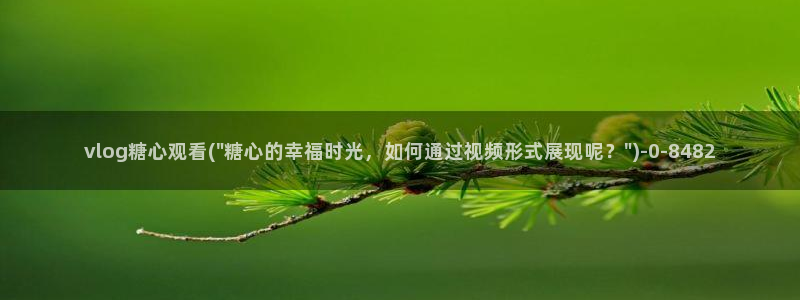 糖心vlog视频安安