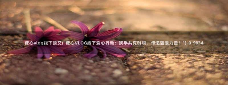 糖心vlog网站下载