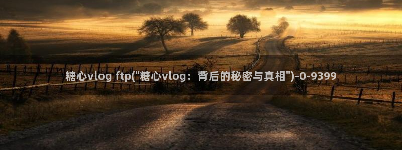 谁有糖心vlog会员