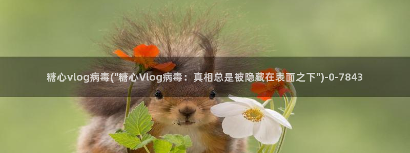糖心vlog能退款吗
