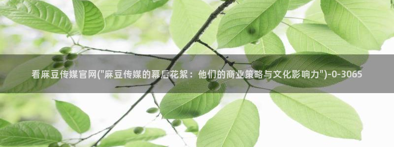 麻豆视频资讯文案