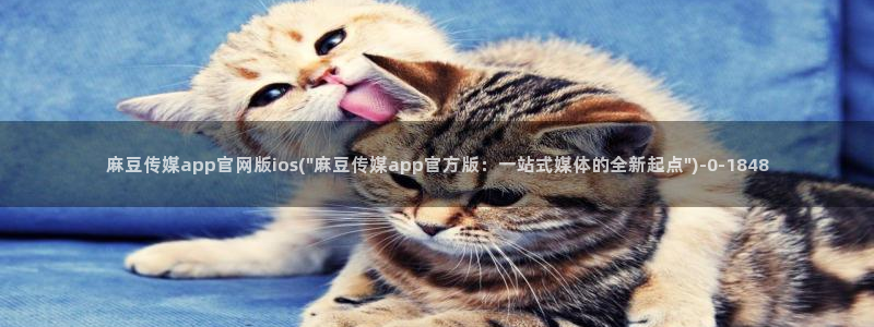 麻豆视频入口