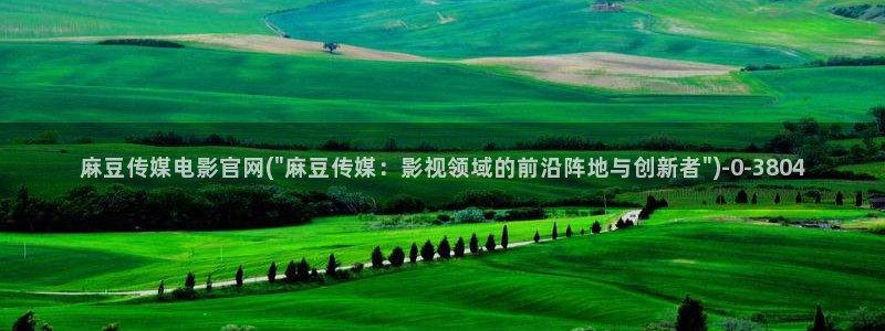 麻豆视频低竞争词