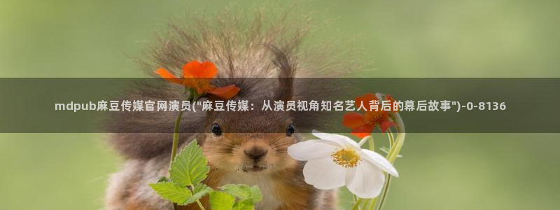 麻豆视频大全