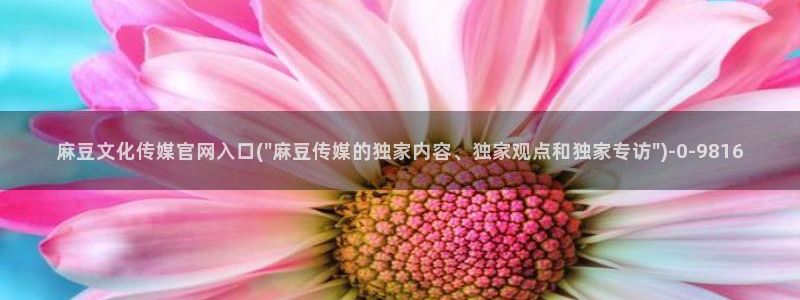 麻豆视频在线观看