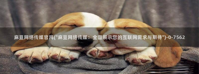 麻豆视频推荐内容