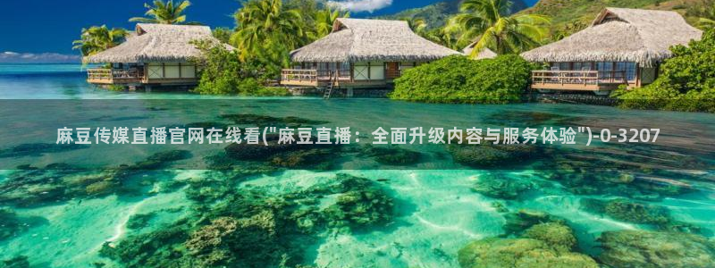 麻豆视频页面关键词