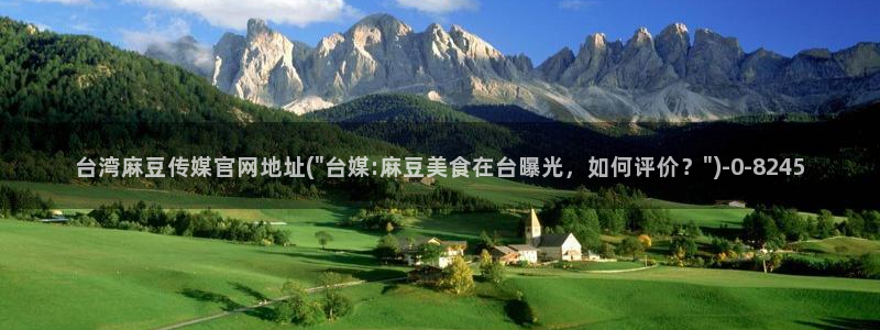 麻豆视频指南文案：台湾麻豆传媒官网地址(\