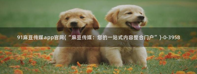 麻豆专题整理