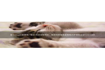 糖心vlog系列产品：糖心vlog以前版本(\