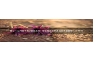 网上那个糖心vlog：糖心vlog网盘下载(\