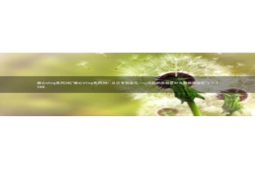 不见星空糖心vlog：糖心vlog系列28(\