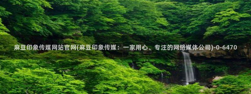 麻豆视频相关推荐