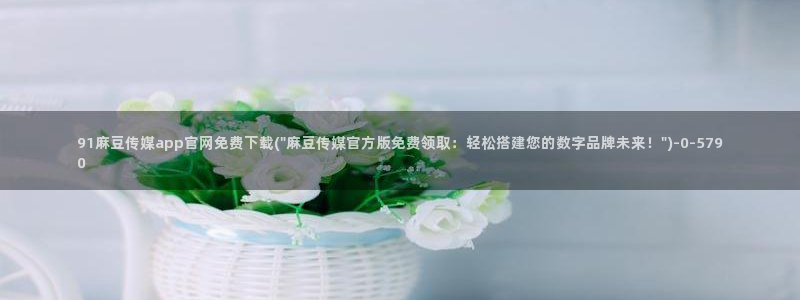 麻豆剧情解析
