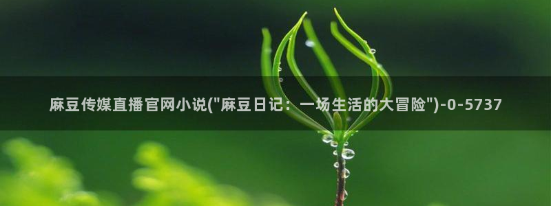麻豆系列视频