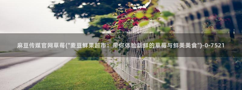 麻豆视频分类