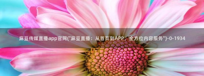 麻豆传媒新片