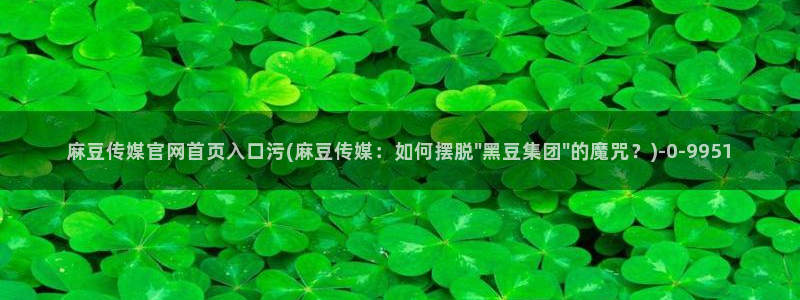 麻豆视频合作联系