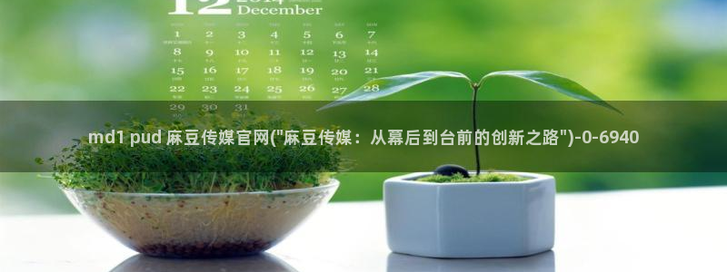 麻豆指南页