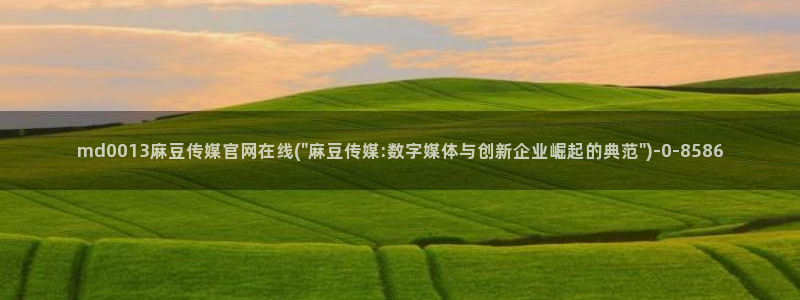 麻豆视频栏目文案