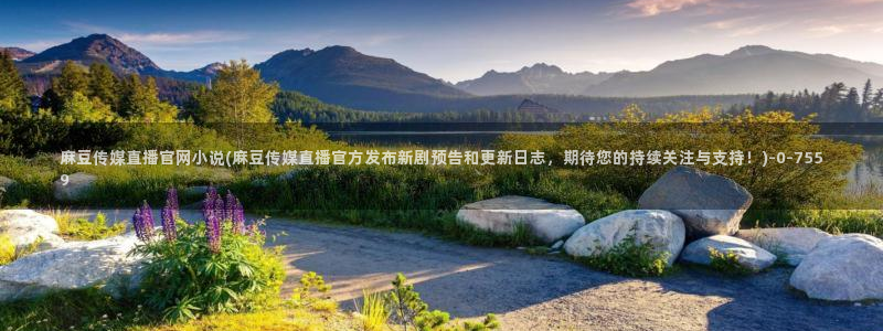 麻豆专题整理