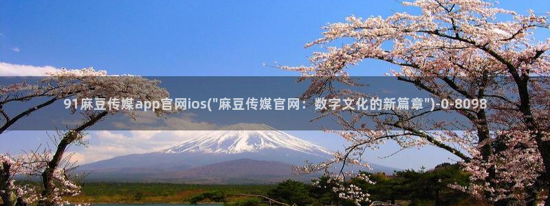 麻豆视频栏目规划
