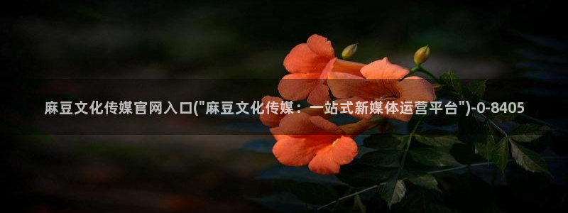 麻豆视频资源站文案