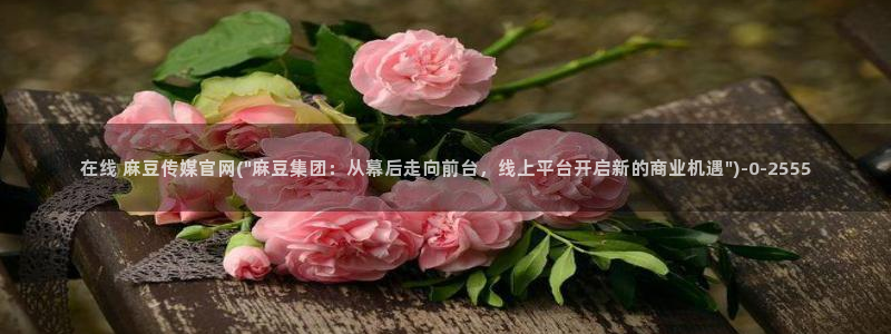 麻豆专题整理