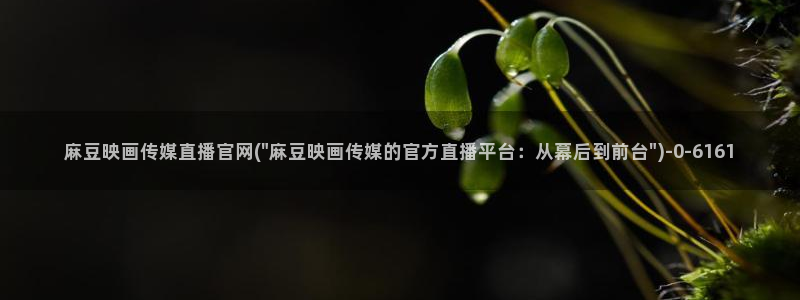 麻豆影视推荐