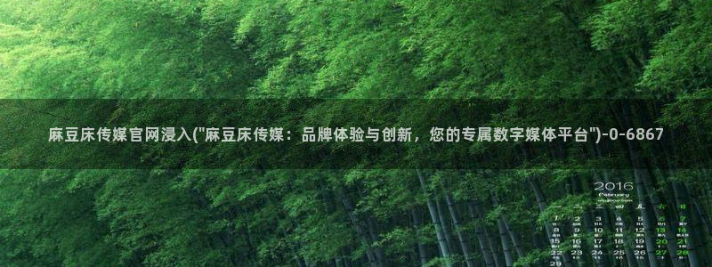 麻豆视频排名词