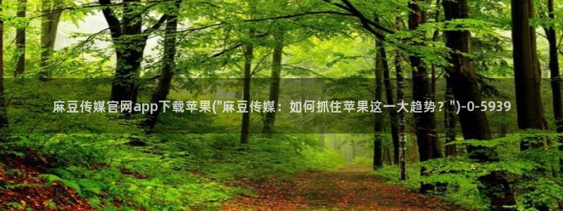 麻豆标题优化