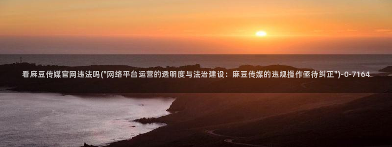 麻豆视频站内文案