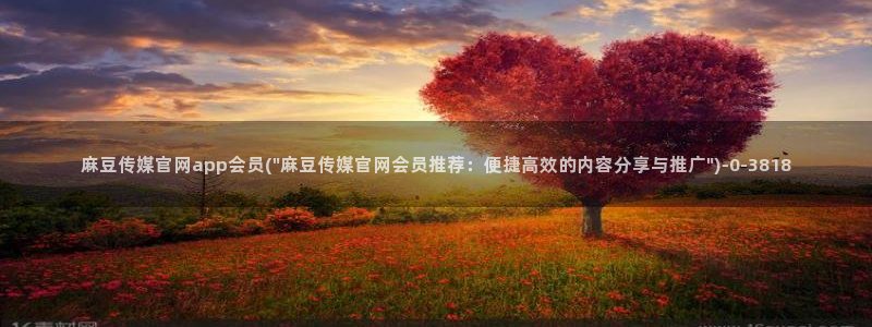 麻豆影视资讯