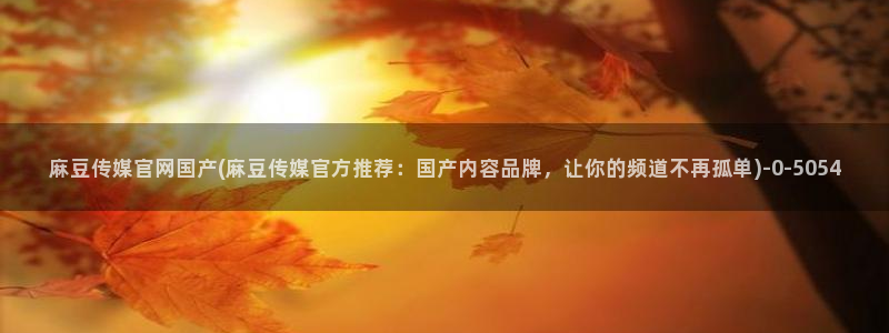麻豆视频关于我们