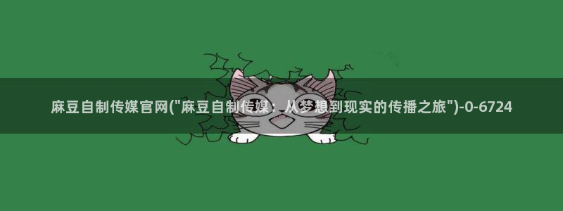 麻豆视频分类名称