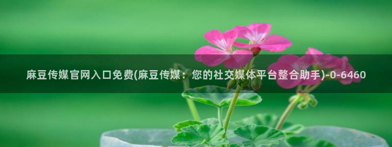 麻豆影视推荐