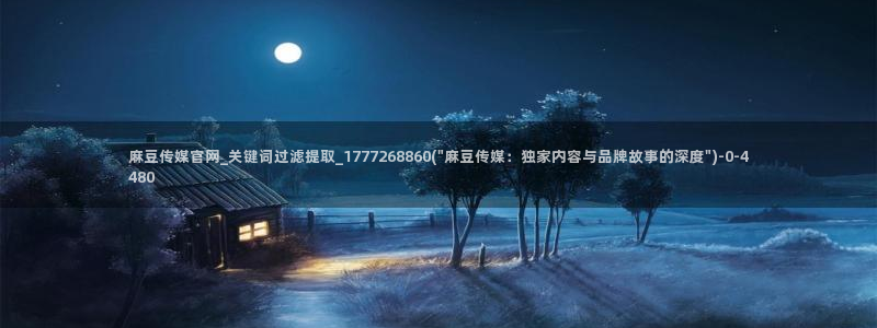 麻豆视频描述规则