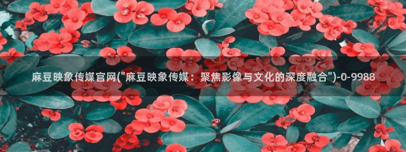 麻豆精选片单