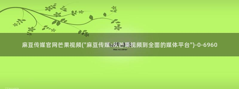 麻豆传媒