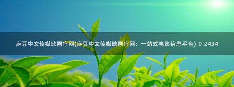 麻豆传媒