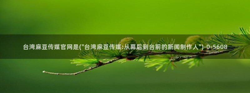 麻豆演员