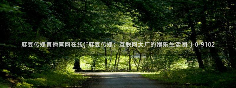 麻豆自定义库