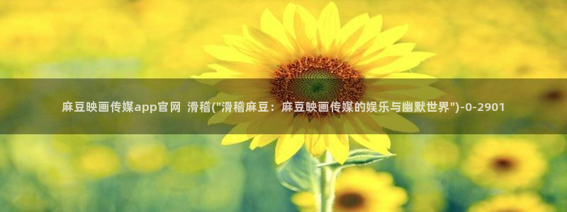 麻豆视频分类
