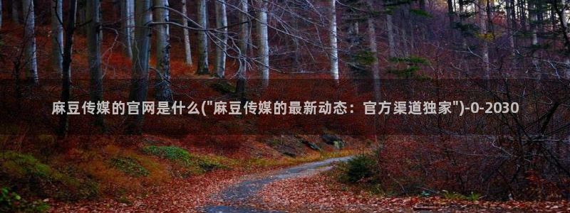 麻豆视频采集规则